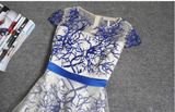 Beautiful Embroidery A-line Cap Sleeves Tulle Long Prom Dress Evening Dress HZ0509