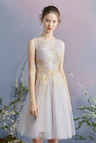 A Line Tulle Short Homecoming Dresses With Gold Appliques HZ0509