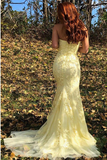 Sky Blue Mermaid Strapless Appliques Prom Dress Cheap Evening Dresses HZ0509