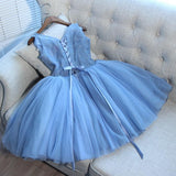 Tulle A Line Lace Appliques Short Homecoming Dresses HZ0509