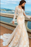 Lace Mermaid Deep V-Neck Backless Long Sleeves Backless Wedding Dresses HZ0509