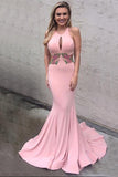 Mermaid Backless Pink Long Charming Cheap Modest Prom Dresses HZ0509