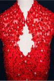 Red Modest Lace Long Puffy Short Sleeves Wedding Dresses HZ0509