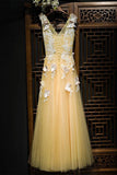 Flowy Long Tulle V Neck Prom Dress With Lace Butterflies HZ0509