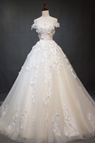 Chic Ball Gown Off The Shoulder Applique Prom Dress Tulle Wedding Dress HZ0509