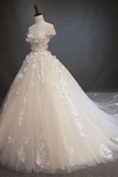 Chic Ball Gown Off The Shoulder Applique Prom Dress Tulle Wedding Dress HZ0509