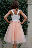 Blush Sweetheart Knee Length Homecoming Dresses Cheap Short Prom Dresses HZ0509