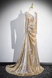 Sequins Long Prom Dress, Shiny V Neck Long Sleeve Evening Party Dress HZ0509