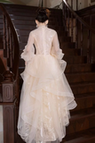 Tulle Lace Long Prom Dress, Beautiful Long Sleeve Evening Party Dress HZ0509