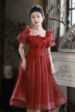 Tulle Short Prom Dress, A Line Short Sleeve Evening Party Dress HZ0509