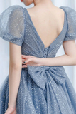 Sleeves Light Blue Tulle Long Prom Dresses, Formal Dresses HZ0509