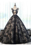 Ball Gown Black Lace Long Prom Dresses With Applique HZ0509