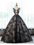 Ball Gown Black Lace Long Prom Dresses With Applique HZ0509
