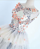 Long Applique Ball Gown Prom Dress,Quinceanera Dresses,Sweet 16 Dress HZ0509