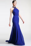 Sheath Royal Blue Mermaid Long Prom Dresses HZ0509