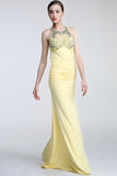 Long Beaded Open Back Prom Evening Dresses HZ0509