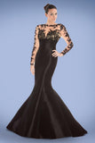 Long Sleeves Lace Mermaid Sheath Prom Dresses HZ0509