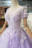 Ball Gown Short Sleeves Prom Dresses with Lace, Quinceanera Dress HZ0509