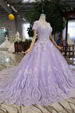 Ball Gown Short Sleeves Prom Dresses with Lace, Quinceanera Dress HZ0509
