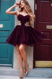Burgundy Tulle Spaghetti Straps A-line Homecoming Dresses HZ0509