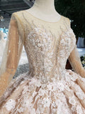 Long Sleeves Ball Gown Wedding Dresses, Floral Appliques Wedding Gown HZ0509