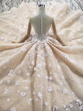 Long Sleeves Ball Gown Wedding Dresses, Floral Appliques Wedding Gown HZ0509