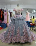 Backless Quinceanera Dress,Ball Gown Long Wedding/Prom Gown HZ0509