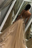 Line Tulle Long Appliques Deep V Neck Prom Dress With Beading HZ0509