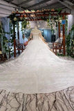 Gown Half Sleeves Lace Bridal Dress with Sequins, Princess Long Wedding Dress HZ0509