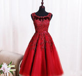 Lace Appliques Beaded A-line See Through Tea Length Homecoming Dresses HZ0509