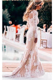 Long Sleeve Mermaid Lace Applique Wedding Dressses HZ0509
