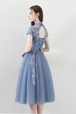 A Line Tulle Cap Sleeves High Neck Homecoming Dresses With Lace Appliques HZ0509