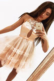 Short Prom Dress, Sheer Neck A Line Homecoming Dress HZ0509