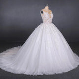 Appliques Tulle Ball Gown Princess Wedding Dress, Bridal Gown HZ0509