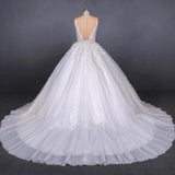 Appliques Tulle Ball Gown Princess Wedding Dress, Bridal Gown HZ0509
