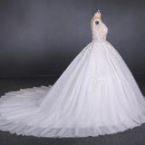Appliques Tulle Ball Gown Princess Wedding Dress, Bridal Gown HZ0509