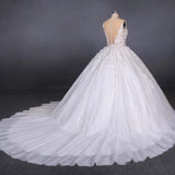 Appliques Tulle Ball Gown Princess Wedding Dress, Bridal Gown HZ0509