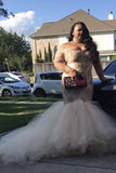 Mermaid Off-the-Shoulder Long Sleeves Applique Tulle Plus Size Dresses HZ0509