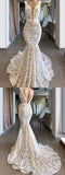 V neck Ivory Lace Long Prom Dresses Evening Dresses HZ0509