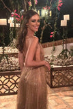 Sequin Long Prom Dress Spaghetti V Neck Backless Evening Dress HZ0509