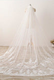 Long Embroidered Lace Cathedral Veil for Wedding HZ0509