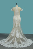 Short Sleeve Mermaid Tulle Lace Applique Wedding Dresses HZ0509
