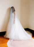 Tulle with Lace Wedding Bridal Veil Cathedral Length HZ0509