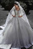 Long Sleeves A Line Ball Gown Wedding Dresses With Applique HZ0509