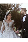 Long Sleeves A Line Ball Gown Wedding Dresses With Applique HZ0509