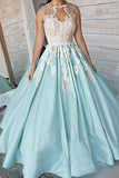 Satin Appliques Long Sleeveless Ball Gown Prom Dress HZ0509