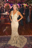 Mermaid Lace Appliques Long V Neck Prom Dress HZ0509
