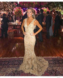 Mermaid Lace Appliques Long V Neck Prom Dress HZ0509