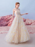 A Line Tulle Long Appliques Prom Dresses, Evening Party Dress HZ0509