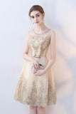 Line Round Neck Short Lace Appliques Homecoming Dresses HZ0509